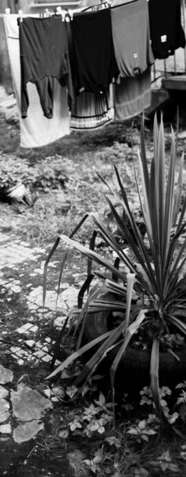 From the Secret Gardens series