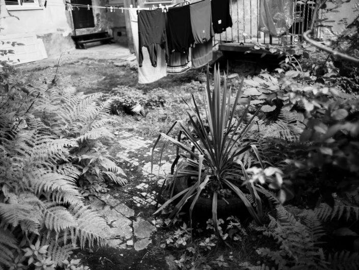 From the Secret Gardens series
